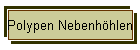 Polypen Nebenhhlen