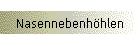 Nasennebenhhlen