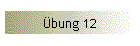 bung 12