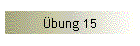 bung 15